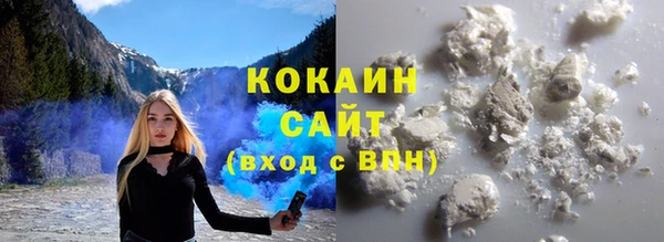 ПСИЛОЦИБИНОВЫЕ ГРИБЫ Белокуриха