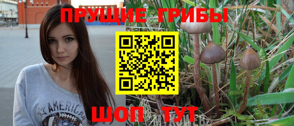 Галлюциногенные грибы Psilocybe  Вход с VPN  Галлюциногенные грибы ЛСД  Петропавловск-Камчатский 